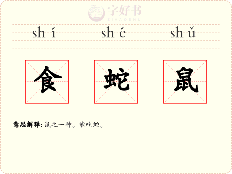 食蛇鼠