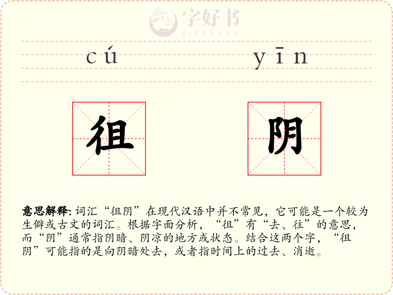 徂阴