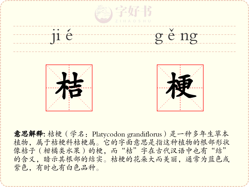 桔梗