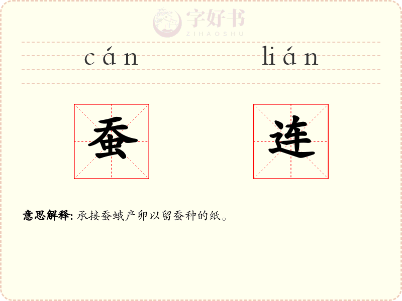 蚕连