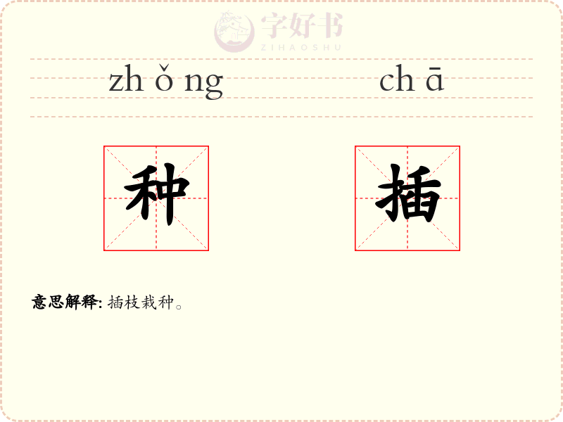种插