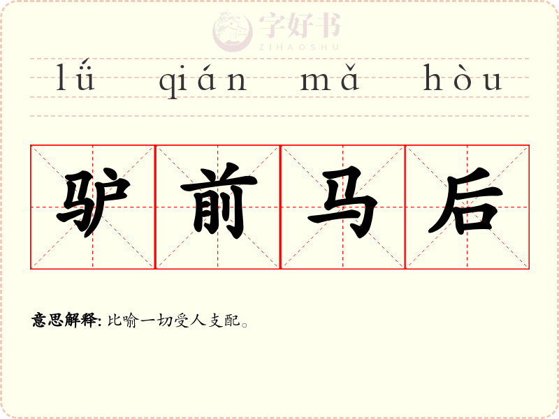 驴前马后