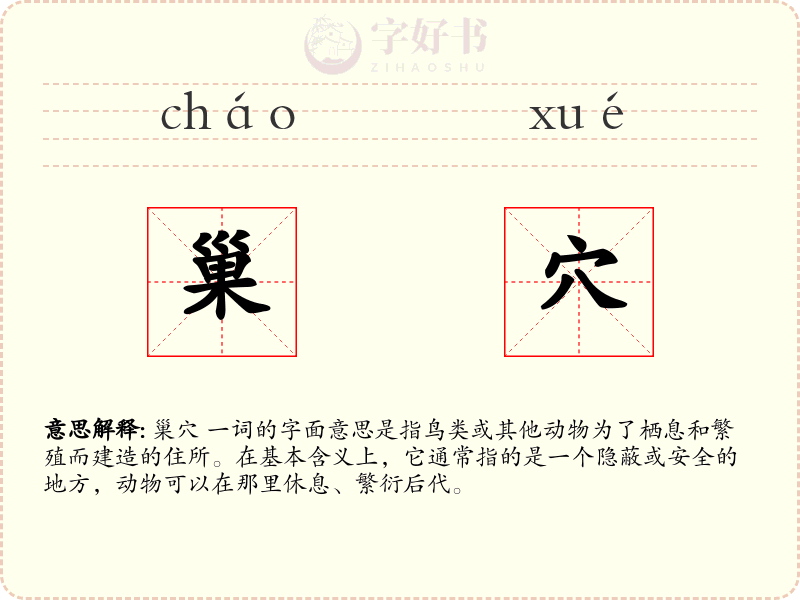 巢穴