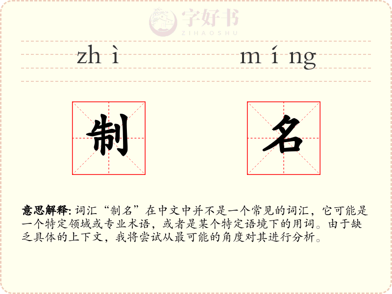 制名