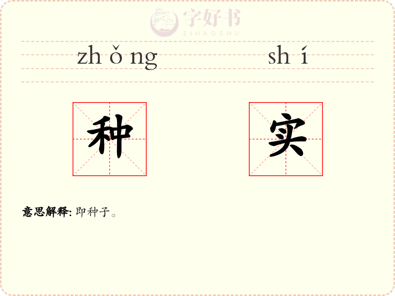种实