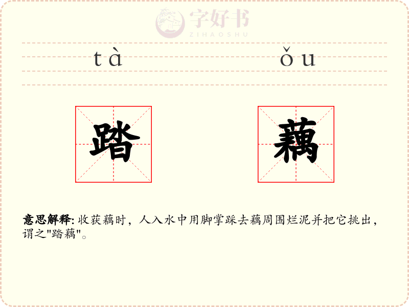 踏藕