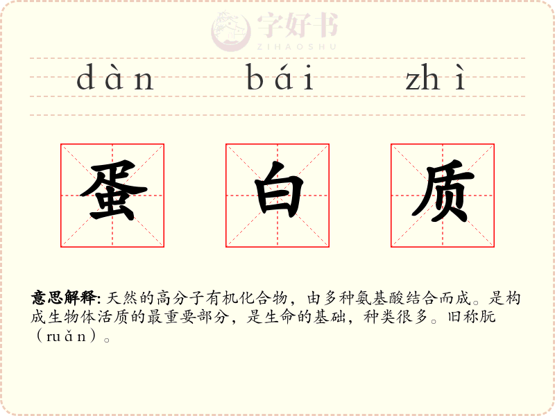 蛋白质