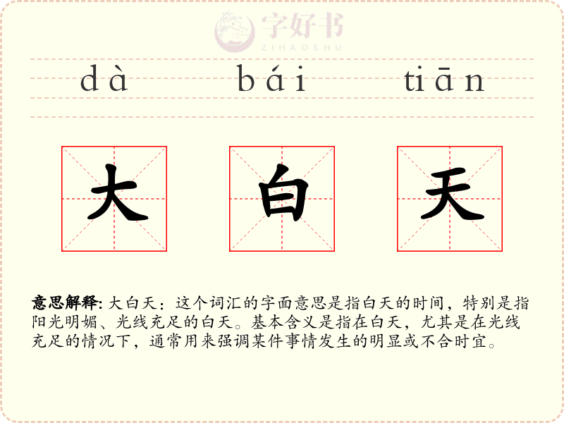 大白天