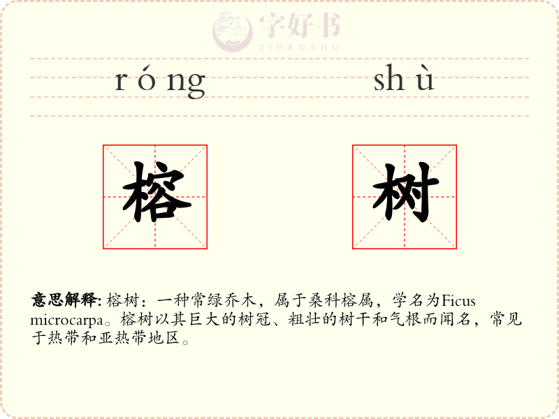 榕树