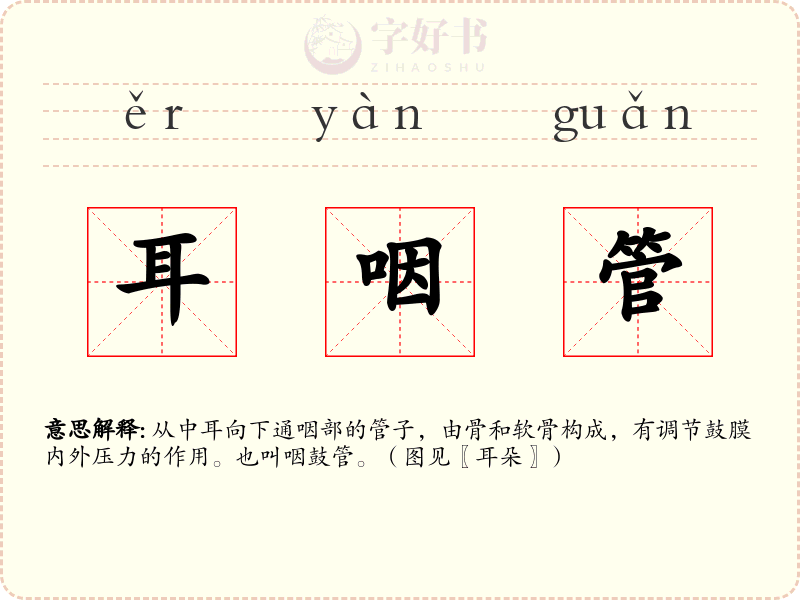 耳咽管