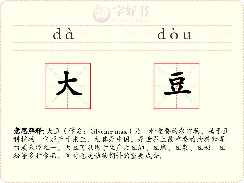大豆