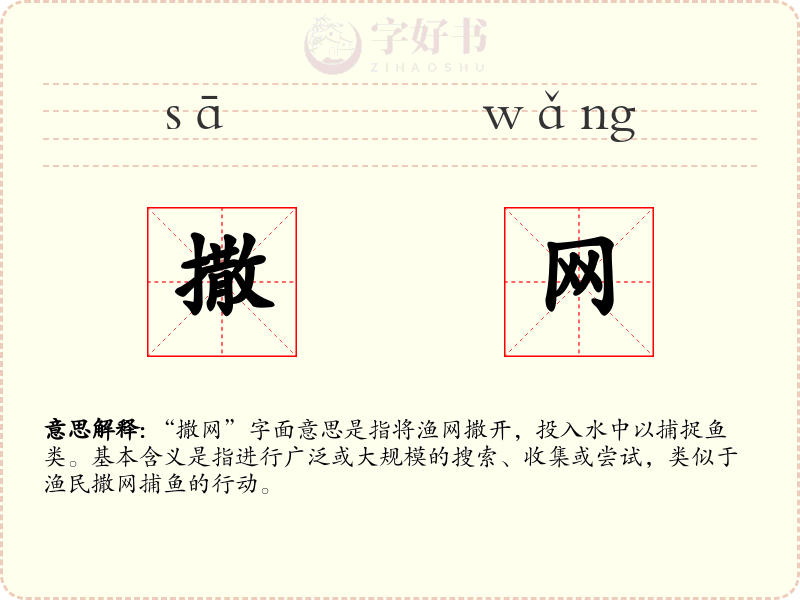 撒网