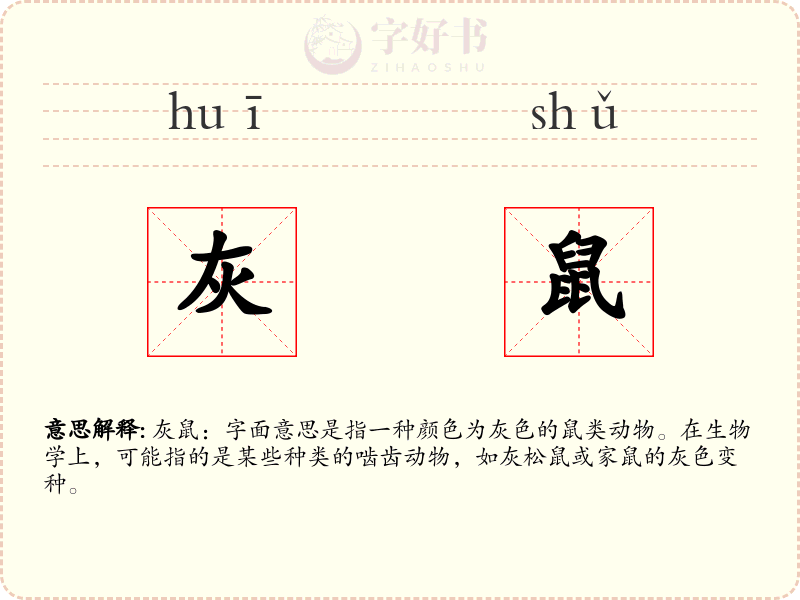 灰鼠