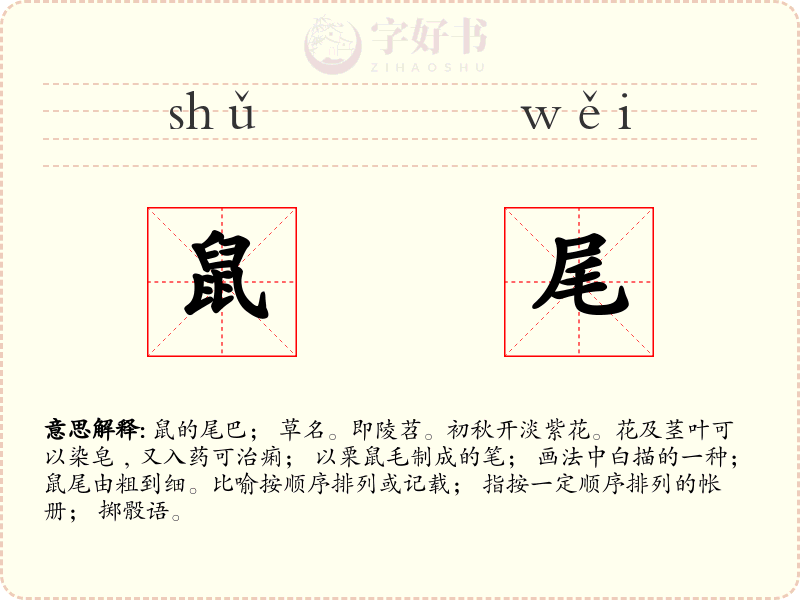 鼠尾