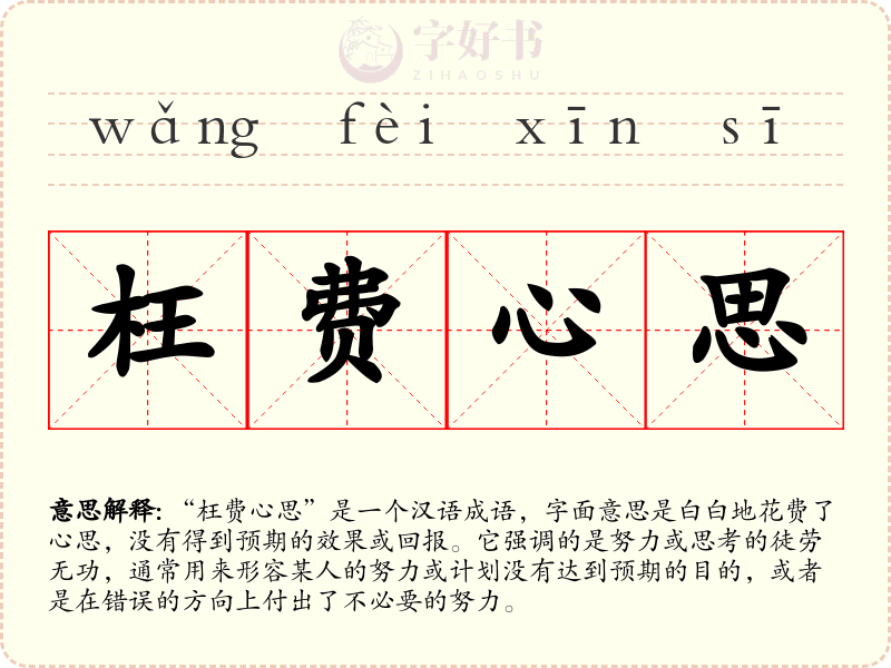 枉费心思