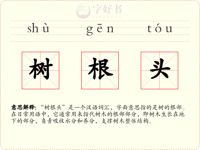 树根头