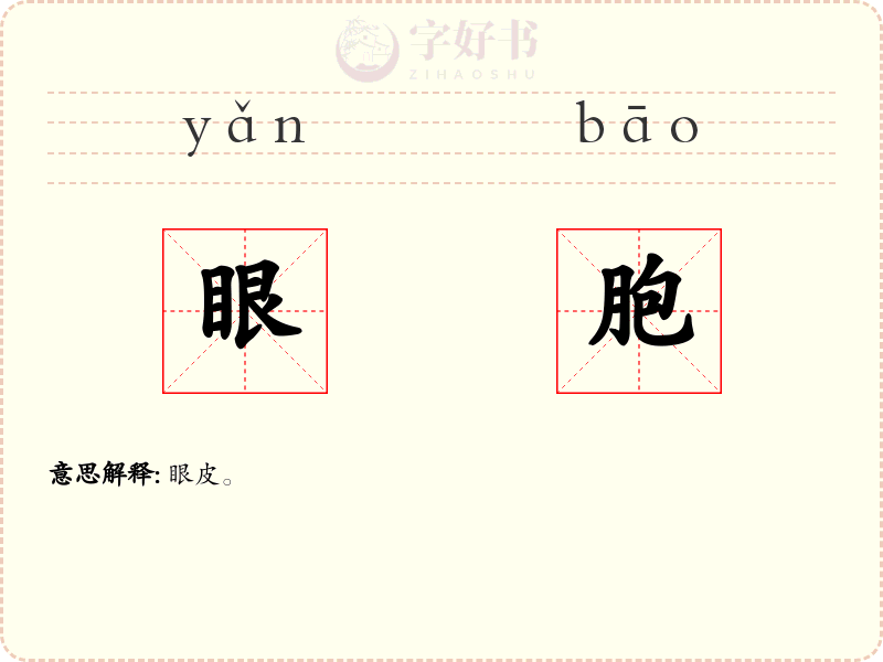 眼胞