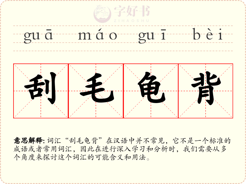 刮毛龟背