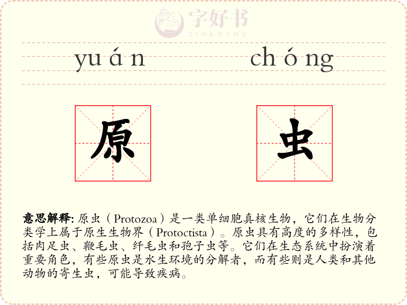 原虫