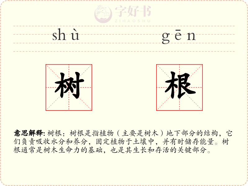 树根