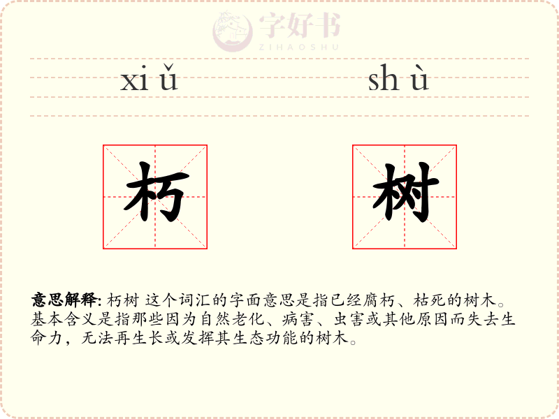 朽树
