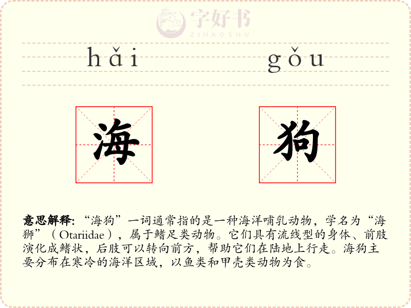 海狗