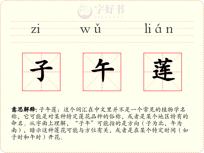 子午莲