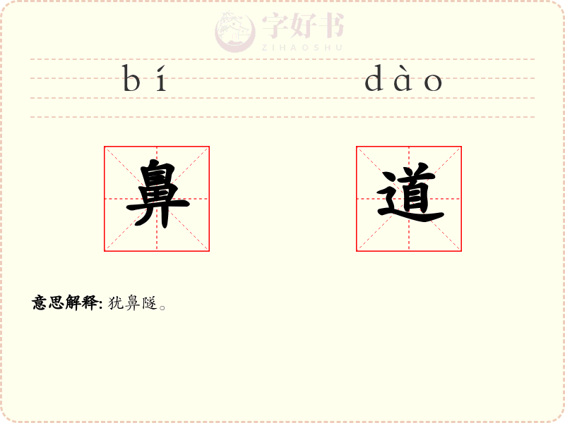 鼻道