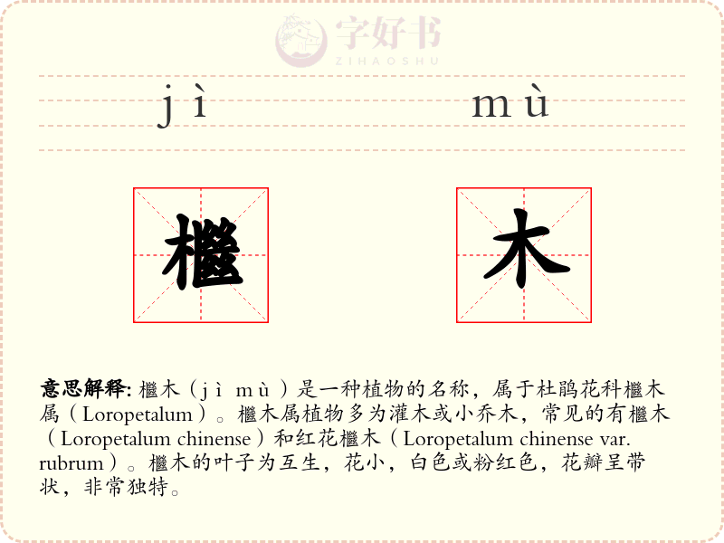 檵木