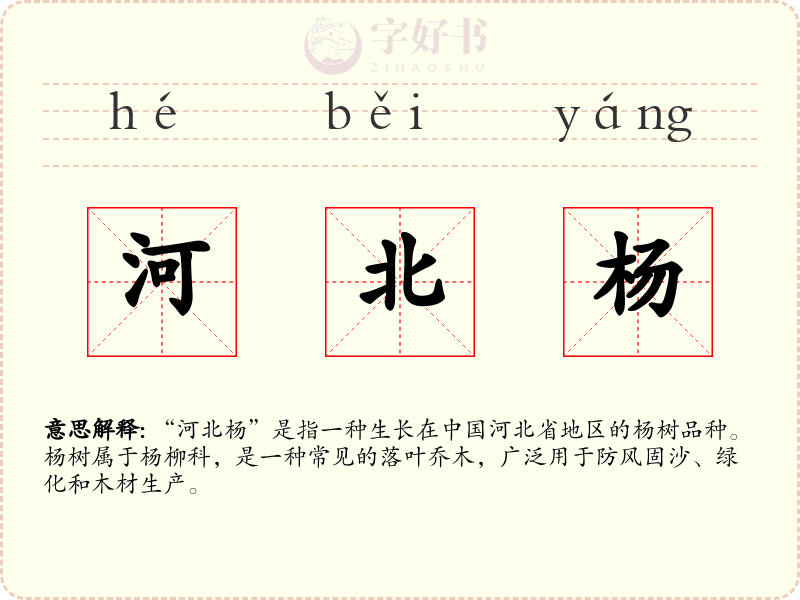 河北杨