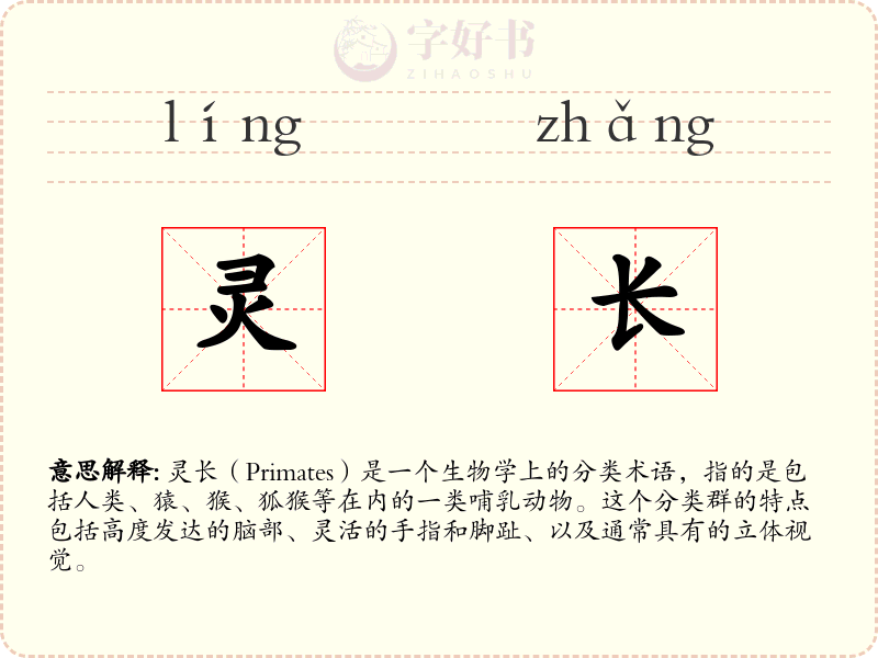 灵长