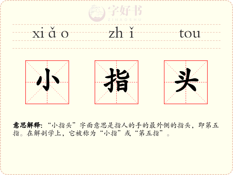 小指头