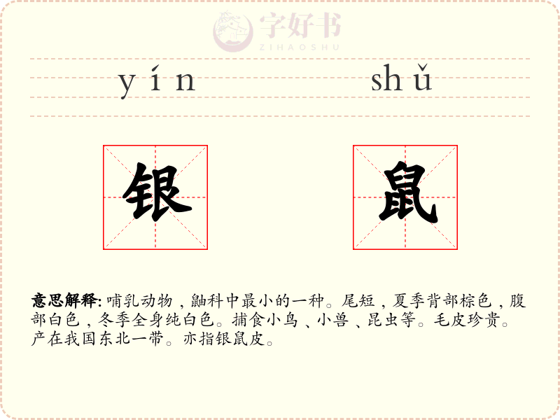 银鼠