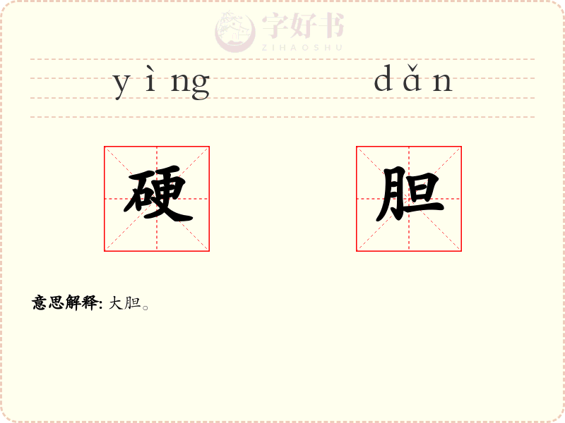 硬胆