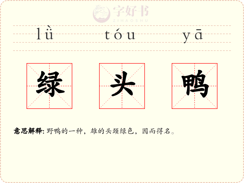 绿头鸭