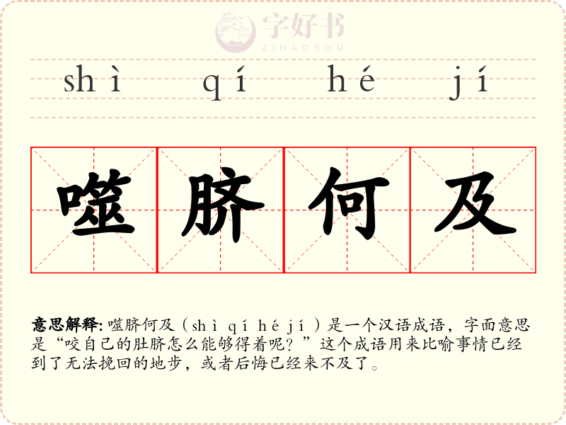 噬脐何及
