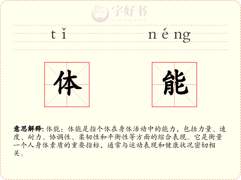 体能
