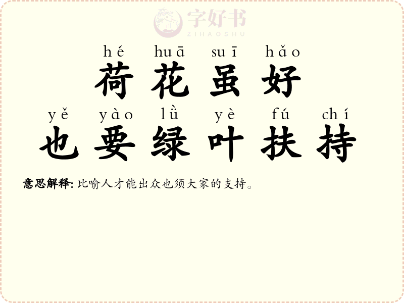 荷花虽好，也要绿叶扶持