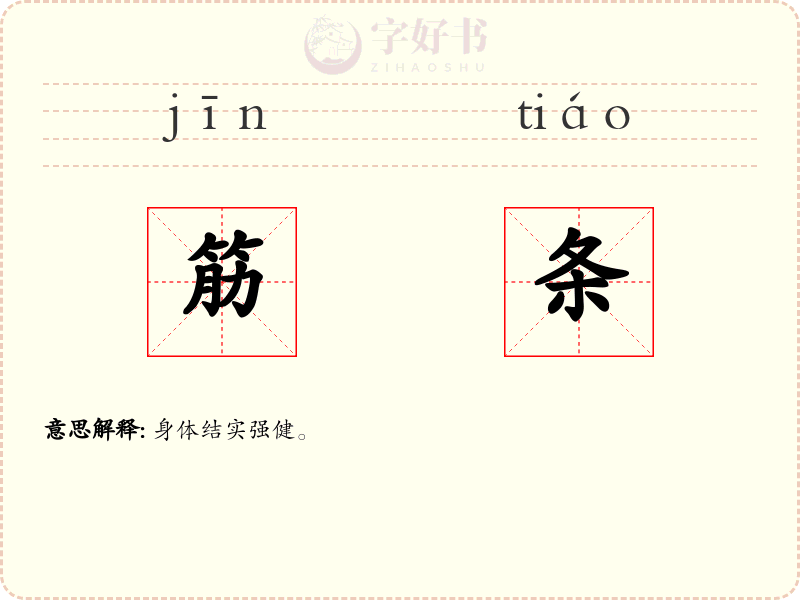筋条