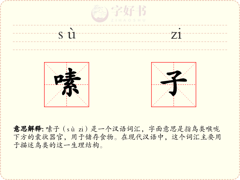 嗉子