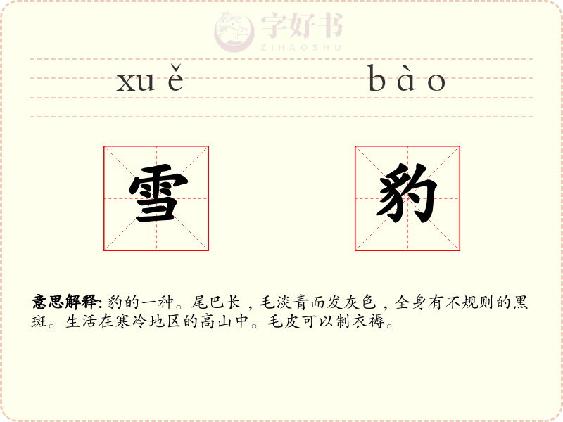雪豹
