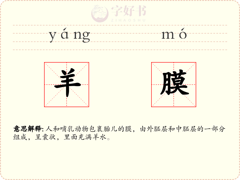 羊膜