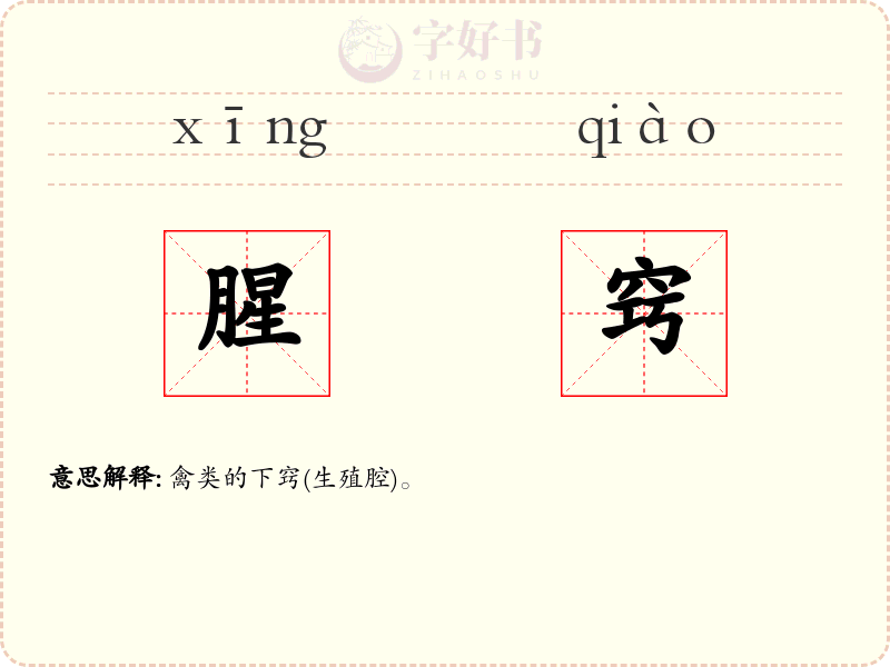 腥窍