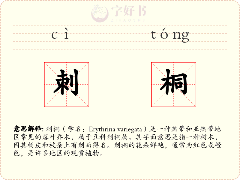刺桐