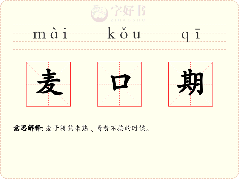 麦口期