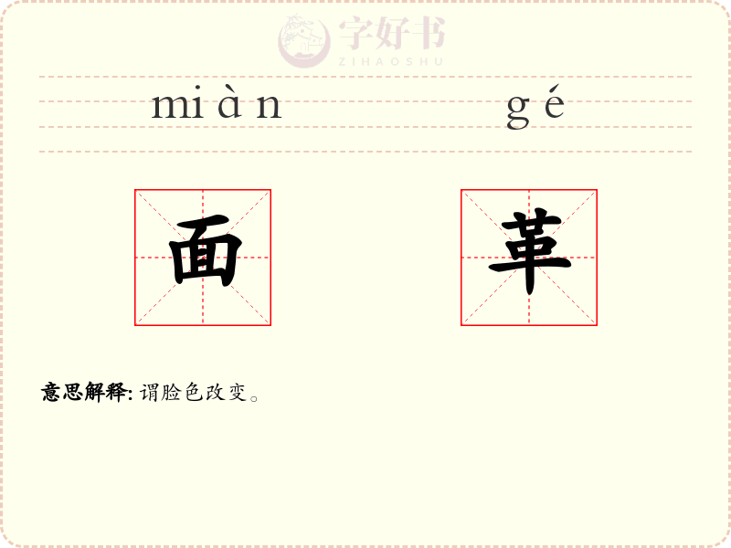 面革
