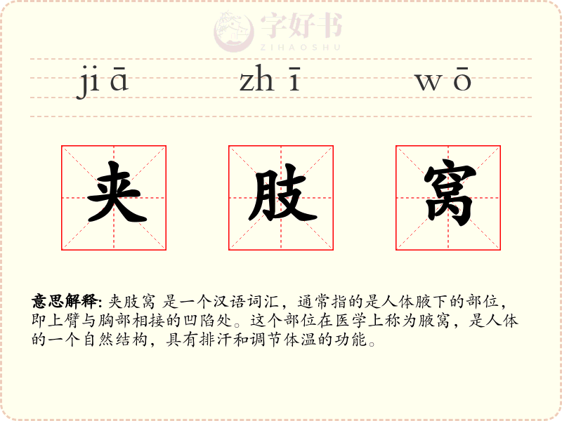 夹肢窝