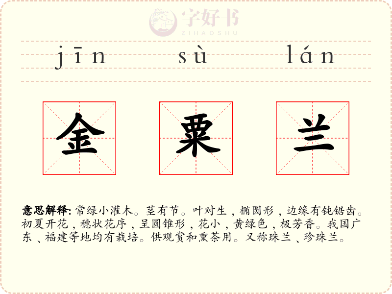 金粟兰