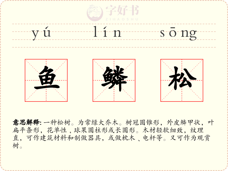 鱼鳞松
