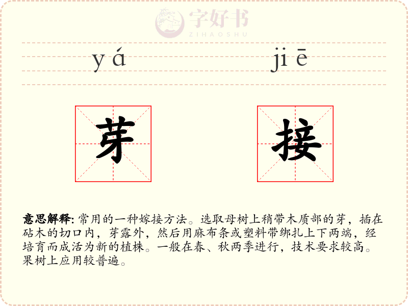 芽接